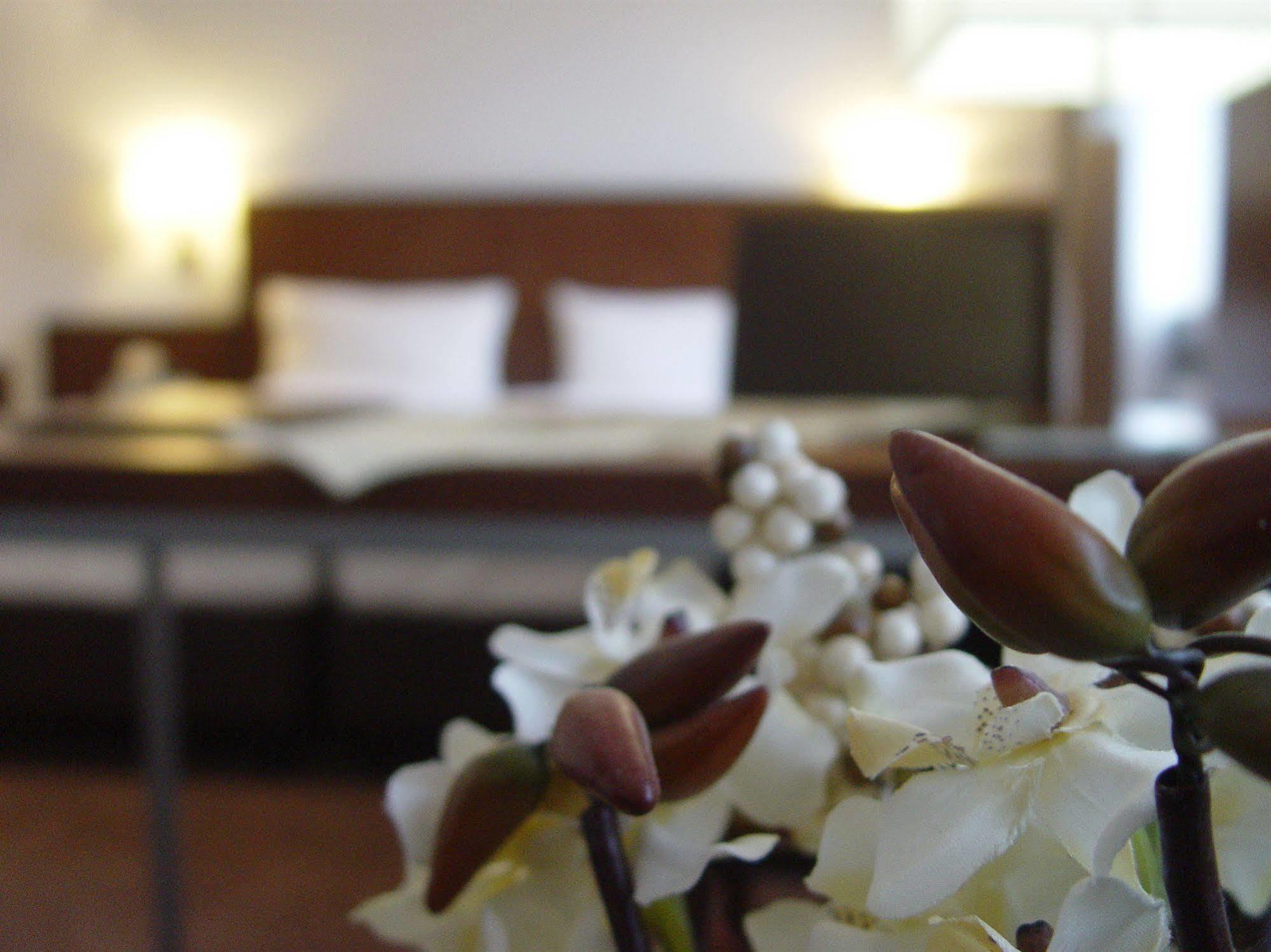 Hotel Zum Adler 본 외부 사진